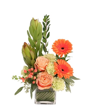 Friendly Sorbet Floral Design  in Blaine, MN | ADDIE LANE FLORAL & GIFTS