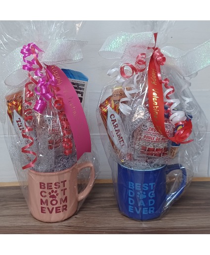 Cat Mom or Dog Dad Valentine  Gift Basket