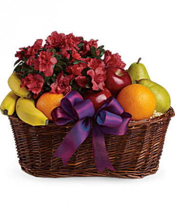 Fruit & Bloom Fruit & Plant