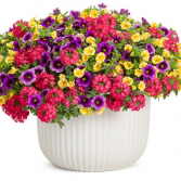 Fruit Salad -- 12" Pot Outdoor Planter