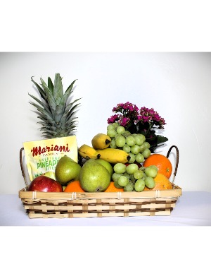 Classic Fruit Gift Basket + Plant 
