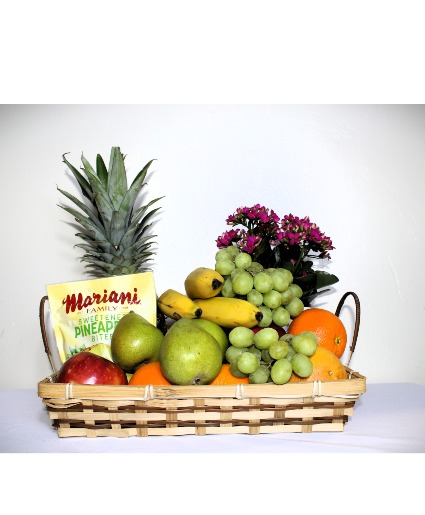 Classic Fruit Gift Basket + Plant 