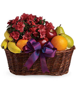 FRUITS & BLOOMS 