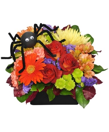 ALONG CAME A SPIDER Halloween Bouquet in Sun City Center, FL | SUN CITY CENTER FLOWERS AND GIFTS