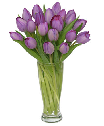Purple Amethyst Tulip Bouquet in Albany, NY | Ambiance Florals & Events
