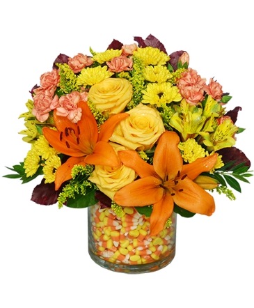 Candy Corn Halloween Bouquet in Rising Sun, MD | Sissy's Floral & Gifts