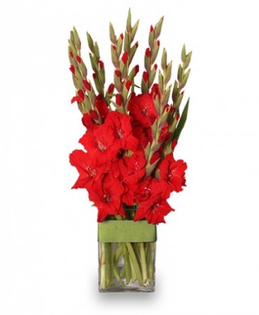 Glad You're My Dad Gladiolus Vase in Kissimmee, FL | Amor Florist & Gift Baskets
