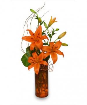 ORANGE YOU GREAT Flower Arrangement