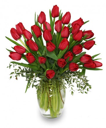 CHERRY RED TULIPS Bouquet in Dodge City, KS | FLOWERS BY IRENE