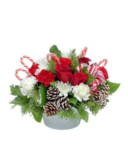Candy Cane Lane Bouquet