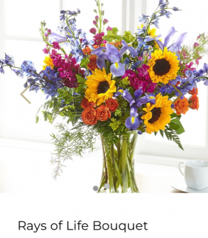 FTD’s Rays of Life Bouquet Fresh arrangement 