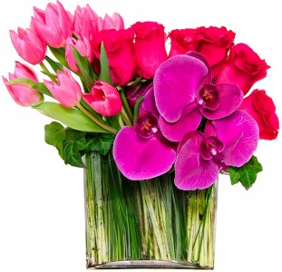 Fuchsia Fantastique Mixed Design