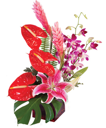 Fuchsia Fantasy Flower Arrangement in Elyria, OH | BOTAMER FLORIST & MORE