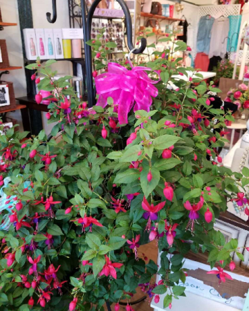 Village Florist