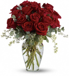 Full Heart - 16 Premium Red Roses  T255-3  Rose Arrangement