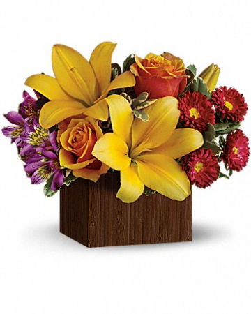 Full of Laughter Tev13-2 13.5"(w) x 10.5"(h)