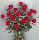 Rose Radiance 