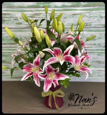 Full of Stars  in Bryan, TX | NAN'S BLOSSOM SHOP