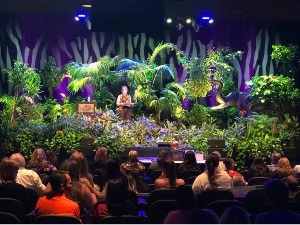 Full Stage Jungle Theme Rental  