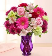 Fun and Flirty gerber 