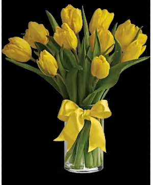 Fun With Tulips 