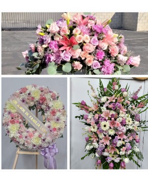 Funeral arrangements package  Funeral 