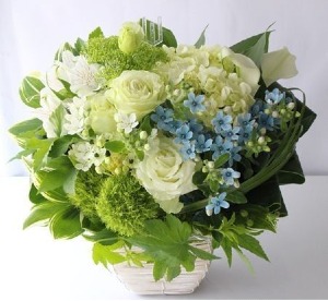 sympathy calm wishes 