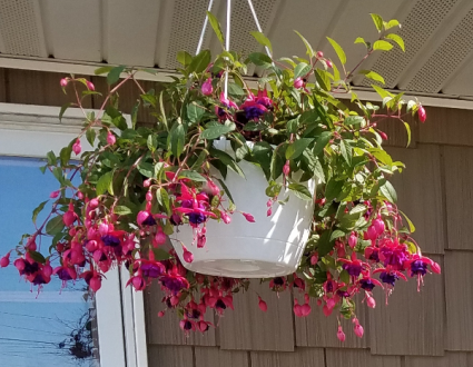 COUNTRY FLORAL'S SEASONS, LLC