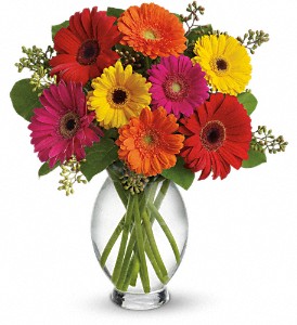 GALA OF COLOR Vase Arrangement
