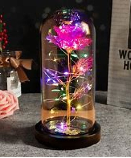 Galaxy Rose in Dome with Lights 