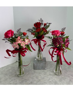 Galentines Day Bundle 