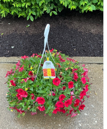 Galiant Hanging Basket