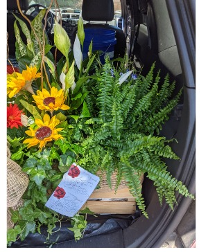 Garden boxes 