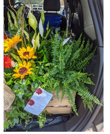 Garden boxes 