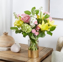 Garden Delight 