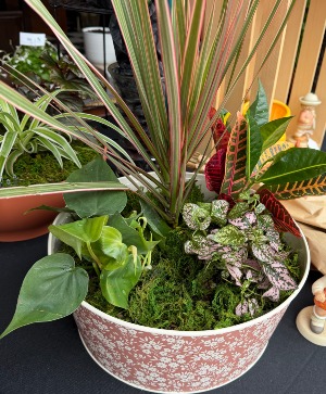 Garden Dish Spring garden dish
