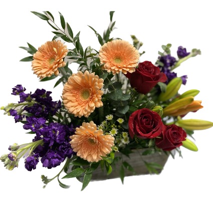 Garden Dreams Arrangement