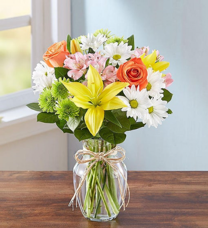 garden field flowers 