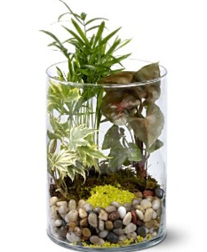 Garden in Glass 
