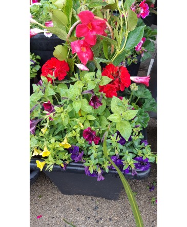 Garden Lover's Planter (Available May 5) Outdoor Planter in Cambridge, ON | KELLY GREENS FLOWERS & GIFT SHOP