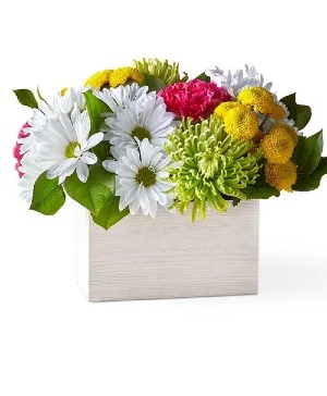 Garden of Blooms  