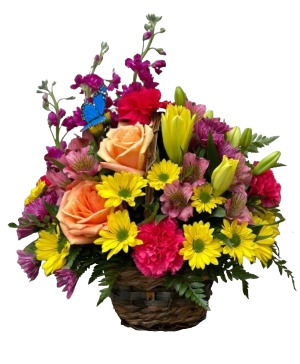 Garden of Butterflies in a basket