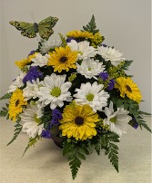 Garden of Daisies with butterfly NFS-A15