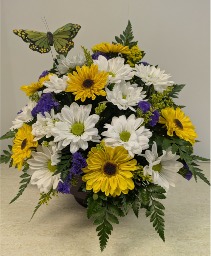 Garden of Daisies with butterfly NFS-A15