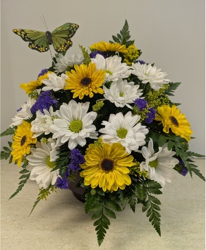 Garden of Daisies with butterfly NFS-A15