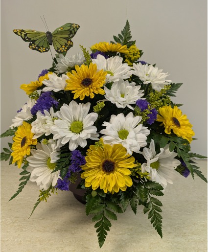 Garden of Daisies with butterfly NFS-A15