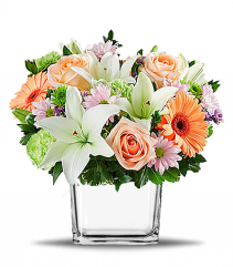 Garden of Lavish Arrangement