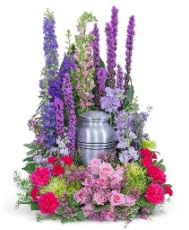 Garden of Life Surround Sympathy