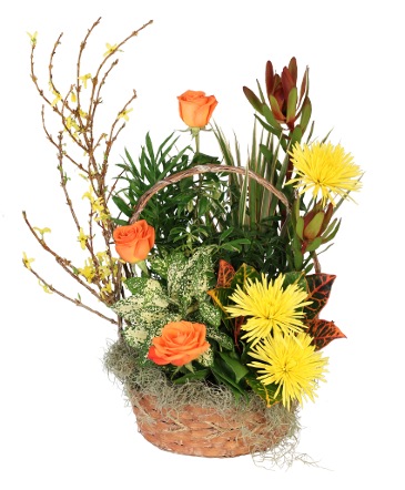 Garden of Rest House Plant in Wilmington, DE | EVERLASTING BEAUTY FLORAL DESIGNS