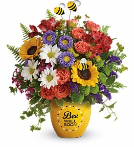 Garden Of Wellness Arrangement in Winnipeg, MB | CHARLESWOOD FLORISTS